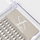 4D Premade Lashes