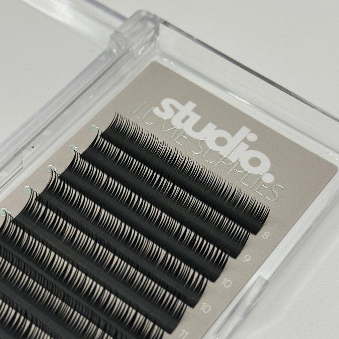 Wet Set Lashes