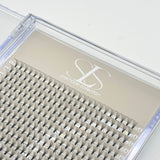 XL 12D Premade Lashes