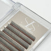 Wet Set Premade Lashes