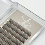 Wet Set Premade Lashes