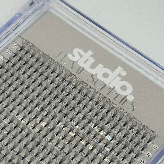 XL 10D Premade Lashes - Studio Lume Supplies