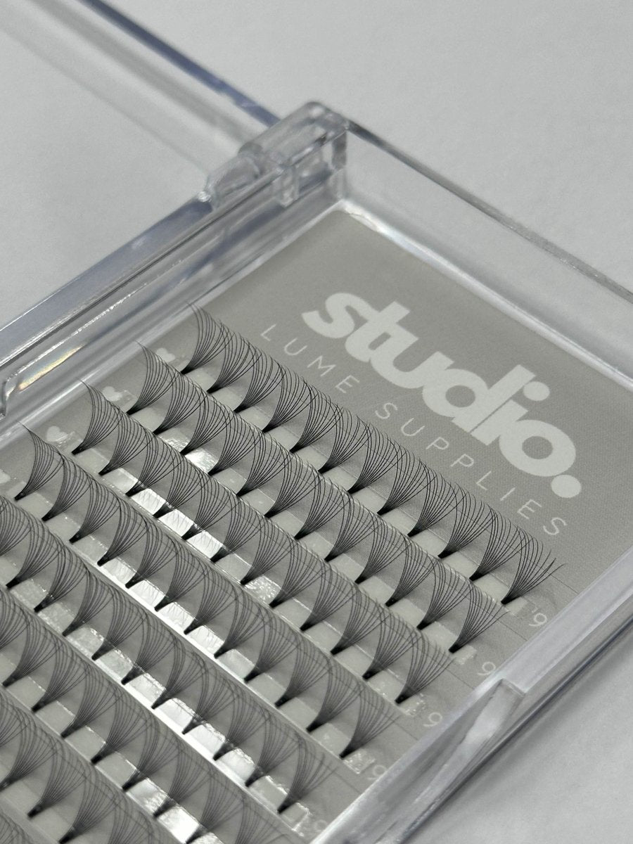 10D Premade Lashes | Acrylic Trays - Studio Lume Supplies