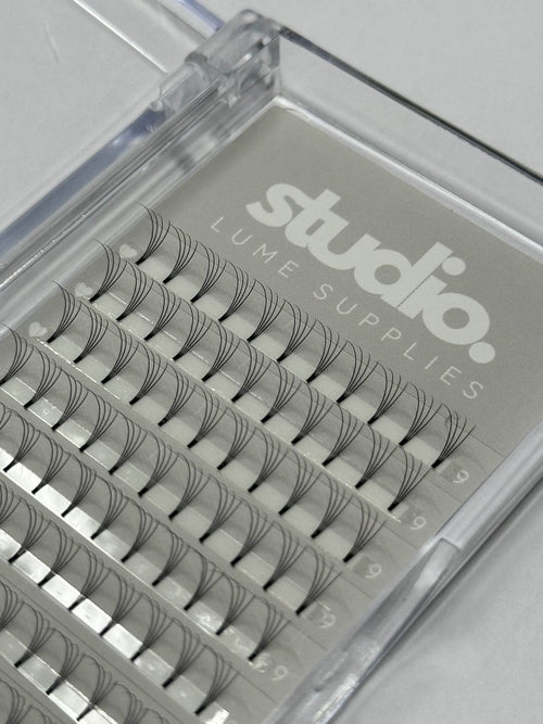 4D Premade Lashes | Acrylic Trays - Studio Lume Supplies