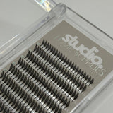 Anime Tower Lashes