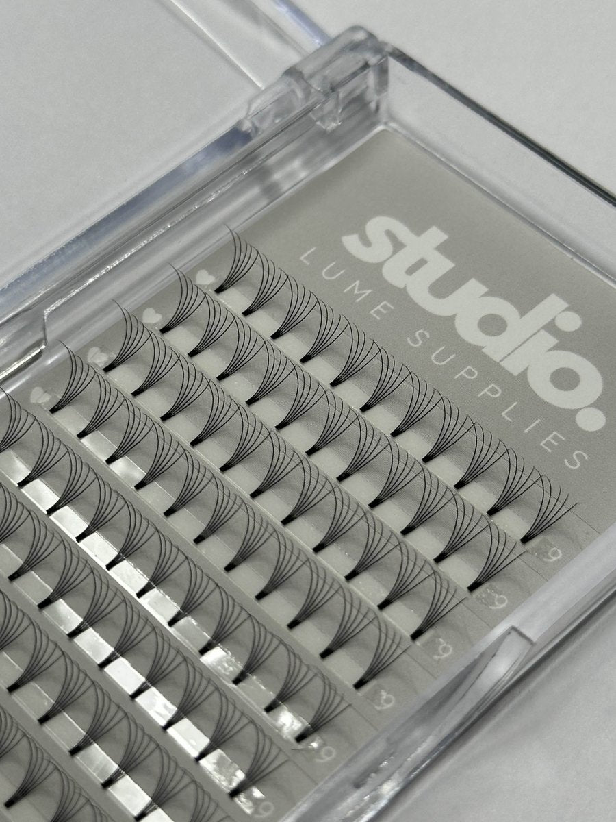 5D Premade Lashes | Acrylic Trays - Studio Lume Supplies